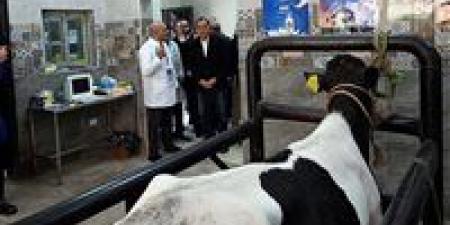 رئيس الوزراء يتفقد الوحدة البيطرية بقرية "نوى" ضمن مشروعات المبادرة الرئاسية "حياة كريمة" بالقليوبية