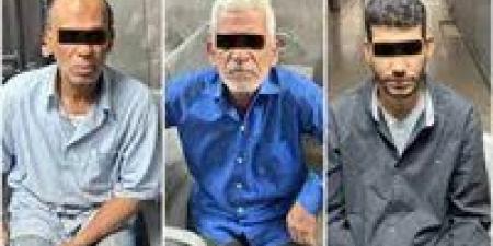 غدًا أولى جلسات دعوى سحب تراخيص مدرسة "سيدز" للغات