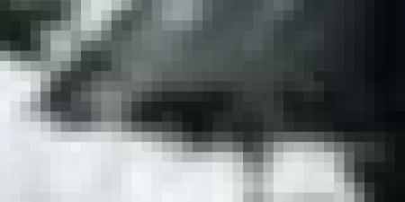 أمطار رعدية غزيرة تتعدى 50 ملم وزوابع عبر هذه الولايات