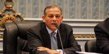 محمد أنور السادات لـ تحيا مصر: إعادة الانتخابات أكثر من مرة «خلى الناس تتعب وتزهق».. ومصر تحتاج لبرلمان جديد دون شك