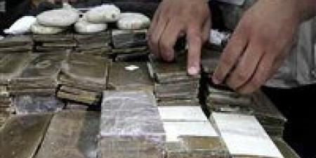 الداخلية تضبط 358 قضية جلب مخدرات خلال 24 ساعة في حملات أمنية مكبرة