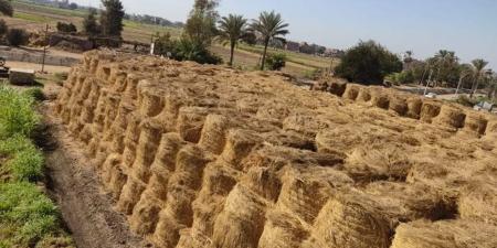 قائمة
أسعار
الأرز
الشعير
اليوم
الخميس
18
ديسمبر
2025
في
المحافظات