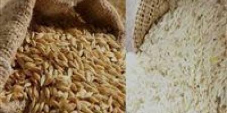 سعر
      الأرز
      الشعير
      اليوم
      ..كم
      سعر
      طن
      الأرز
      الشعير
      الآن
      2025
      ؟(تحديث)