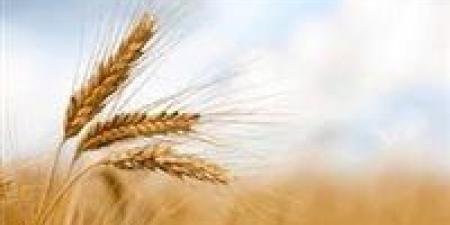 ما
      تأثيرات
      رفع
      إيجارات
      أراضي
      الوقف
      على
      المحاصيل
      ؟..
      وزارة
      الزراعة
      تجيب