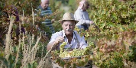 نبيذ دوميناريا والتمثيل المسرحى بالتشيك بقائمة التراث غير المادى باليونسكو