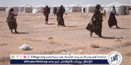 تصعيد
      عسكري
      مستمر
      في
      السودان:
      القوات
      المسلحة
      تسيطر
      على
      مناطق
      استراتيجية
      والدعم
      السريع
      يتكبد
      خسائر
      كبيرة