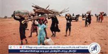 نائب
      مجلس
      السيادة
      السوداني:
      لا
      هدنة
      ولا
      تفاوض
      والسلام
      العادل
      سيتحقق
      برؤية
      الشعب
      والحكومة