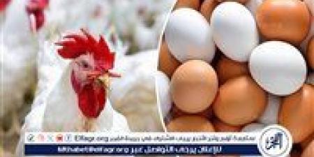 أسواق
      الدواجن
      والبيض
      بمحافظة
      أسوان،
      اليوم
      الجمعة
      26
      ديسمبر
      2025