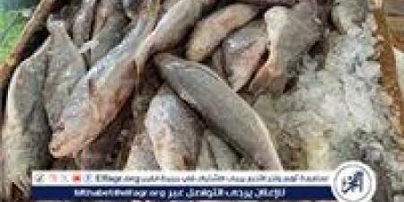 أسواق
      الأسماك
      بمحافظة
      أسوان،
      اليوم
      الجمعة
      26
      ديسمبر
      2025