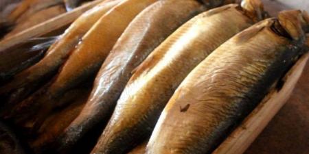 أسعار الفسيخ والرنجة اليوم الخميس 2 أبريل 2026 بمحافظة الغربية