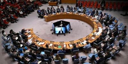 مندوب مصر أمام مجلس الأمن: الاعتداءات تمثل انتهاكًا صارخًا لسيادة الدول