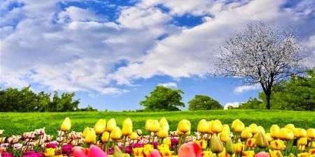 موعد انتهاء فصل الشتاء 2026 في مصر وبداية فصل الربيع