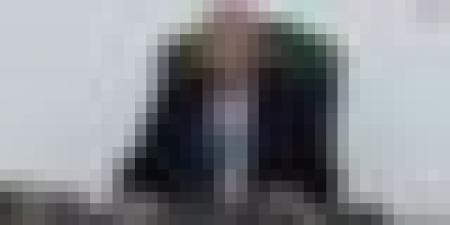 الرئيس تبون يأمر وزير الفلاحة بالجاهزية التامة لموسم الحصاد