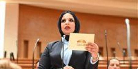 مروة حلاوة تتقدم بطلب إحاطة لوزير الرياضة بشأن تدهور أرضيات الملاعب المصرية