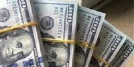 سعر الدولار أمام الجنيه المصري في البنوك خلال تعاملات الإثنين