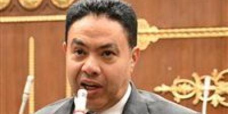 رئيس برلمانية العدل بالشيوخ لـ"تحيا مصر": أطالب بتحرك عاجل لمنع الغش التجارى فى التقاوى الزراعية