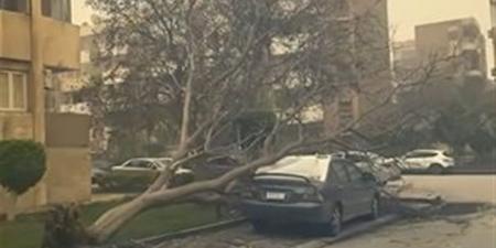 حالة الطقس في محافظات الصعيد والوجه البحري اليوم الثلاثاء