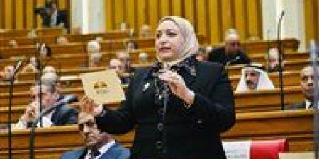 النائبة سحر عتمان تسأل الحكومة عن آليات إلزام القطاع الخاص بتطبيق الحد الأدنى للأجور