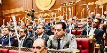 النائب محمد الجندي: قانون حماية المنافسة الجديد نقلة نوعية تمنح الدولة قدرة استباقية لكبح الاحتكار