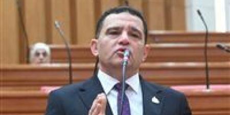 النائب أمير الجزار يتقدم بطلب إحاطة بسبب تعطيل تعيين أوائل خريجي الجامعات من 2014 إلى 2021