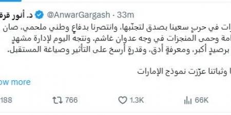 قرقاش: الإمارات انتصرت في الحرب وتتجه للتعامل مع مشهد إقليمي معقد