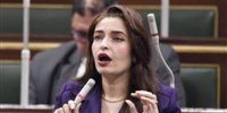 طلب إحاطة برلماني ينتقد تراجع الخدمات الصحية ونقص الأطباء في المستشفيات الحكومية