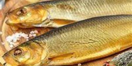 قبل الاحتفال بشم النسيم.. ضبط مصنع داخله 8 أطنان رنجة فاسدة بدون ترخيص