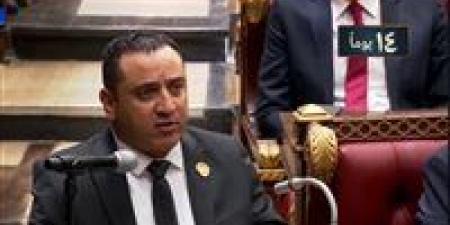 بعد مقترح اصدار قانون خاص بالوظيفة المحلية.. النائب ولاء حافظ لـ تحيا مصر: خطوة حاسمة نحو اجتثاث الفساد وتعزيز الرقابة بالمحافظات