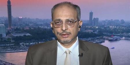 أبو شامة: القاهرة حجر الزاوية في ضبط الاستقرار الإقليمي