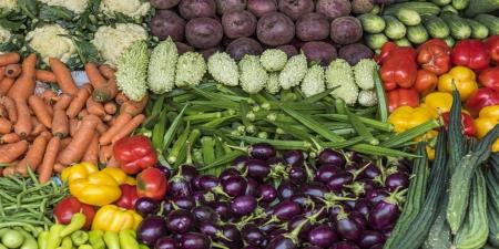 أسعار الخضروات والفاكهة أسواق محافظة الغربية اليوم السبت 11 إبريل 2026