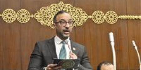 إنهاء صراعات الطلاق لحماية الأطفال.. الحمامصي يقترح إلغاء «تبديد المنقولات»