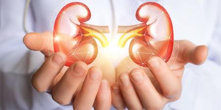 متحدث الصحة: السكري والضغط والسمنة أبرز مسببات الاعتلال الكلوي