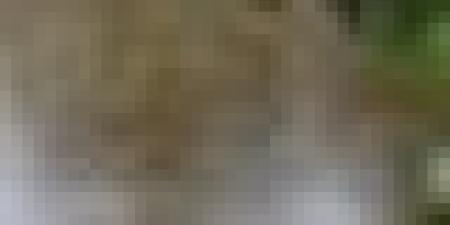 أمطار غزيرة تتعدى 60 ملم على هذه الولايات