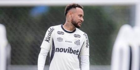 سانتوس ضد مينيرو.. طفل يلفت الأنظار بتصرف مفاجئ مع نيمار.. فيديو