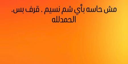 إيمي سمير غانم تثير الجدل عبر إنستجرام: مش حاسة بأي شم نسيم.. قرف بس