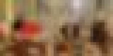 رئيس الجمهورية يؤكد استعداد الجزائر لمواصلة العمل مع دولة الفاتيكان لترقية روح التفاهم ونشر الحوار والتعايش