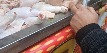 أسعار الدواجن والطيور بأسواق بورسعيد اليوم الثلاثاء 14 أبريل 2026