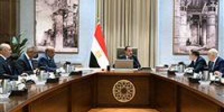 رئيس الوزراء يلتقي المدير العام لـ"روسآتوم" لبحث مستجدات مشروع الضبعة النووية