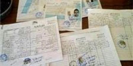 كيفية استخراج قيد عائلي مترجم في مصر وأهميته في المعاملات الرسمية