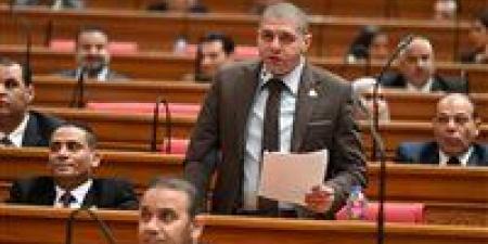 النائب أحمد جبيلي: توجيهات الرئيس السيسي بشأن تشريعات الأسرة تعيد ضبط التوازن داخل المجتمع