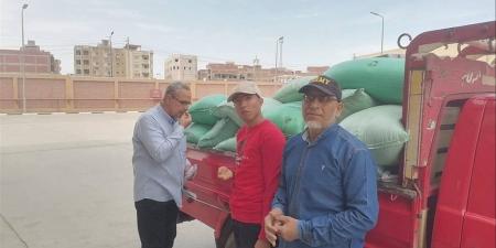 المنوفية تبدأ موسم توريد القمح.. وحملات مكثفة تسفر عن 248 محضرًا تموينيًا
