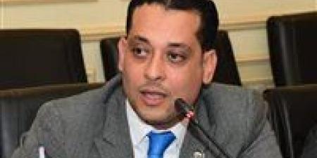 وكيل مشروعات البرلمان: قانون الأحوال الشخصية ركيزة أساسية لتعزيز الاستقرار المجتمعي