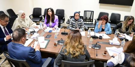 النائبة لبنى عبد العزيز: حماية الوعي لا تقل أهمية عن حماية الحدود.. وخطة مطلوبة لتطوير الخطاب الإعلامي