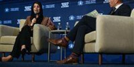 وزير إماراتية: يجب ألا يخضع مضيق هرمز لسيطرة أي طرف.. وإعادة فتحه أولوية