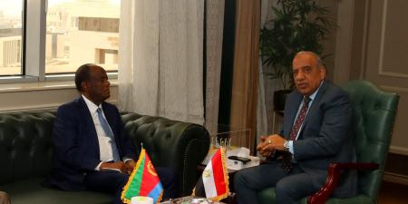 الكهرباء: دعم خطة التنمية المستدامة فى اريتريا وبرامج تدريبية لنقل الخبرات والدعم الفني