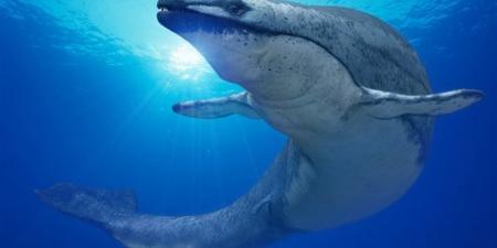 "الدستور" تنشر صورًا حصرية لعودة كنز جيولوجي نادر من أمريكا إلى مصر