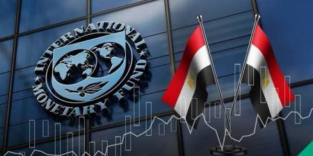 مصر تنتصر بمقترح مبادلة الديون.. صندوق النقد يعتمد رسميا آلية "الدين مقابل الاستثمار"