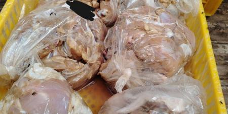 ضبط 150 كجم دواجن فاسدة ومجهولة المصدر داخل مطعم شهير بالفيوم