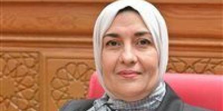 النائبة سناء أنور برغش تتقدم بطلب إحاطة بشأن وقف تسجيل المعاشات وتعطل خدمات التأمينات