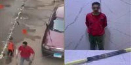 ضبط نقاش تحرش بفتاة وتعدى عليها بالسب في حدائق القبة